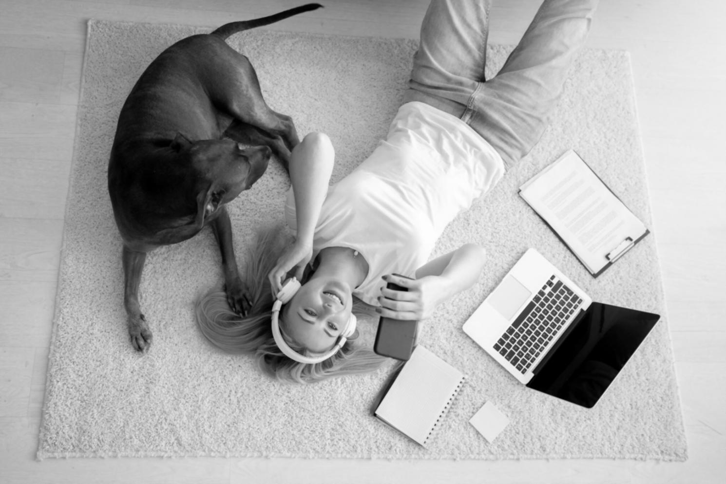 Organisation méthodique des finances personnelles et professionnelles